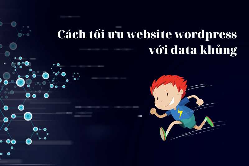 Cach toi uu website wordpress voi data khung