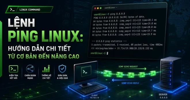 Lệnh Ping Linux: 10 Tùy Chọn Kiểm Tra Mạng Thực Chiến