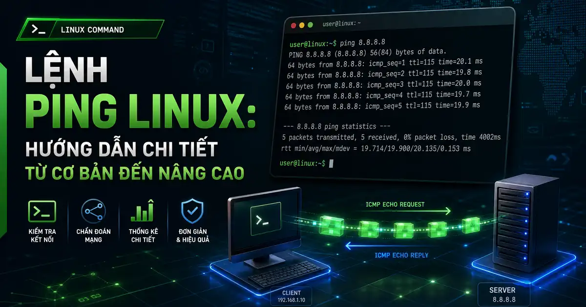 Lệnh ping Linux: Hướng Dẫn Chi Tiết Từ Cơ Bản Đến Nâng Cao